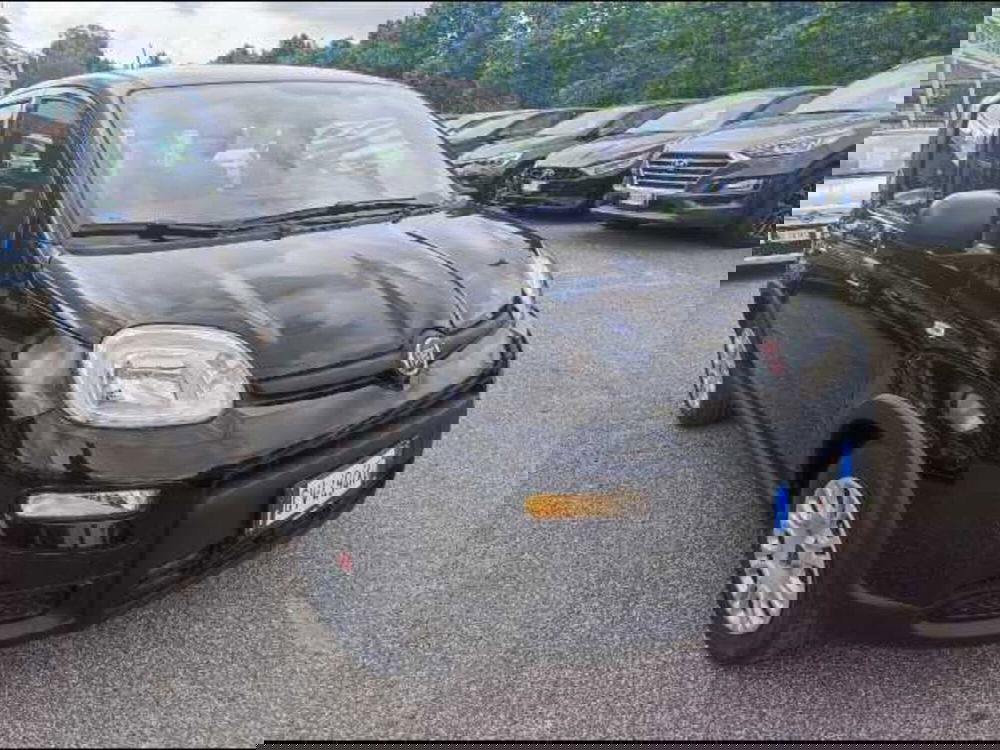 Fiat Panda nuova a Roma (3)