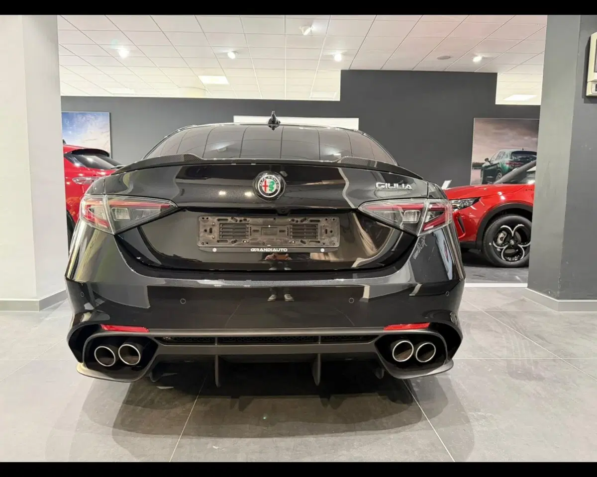 Alfa Romeo Giulia usata a Alessandria (6)