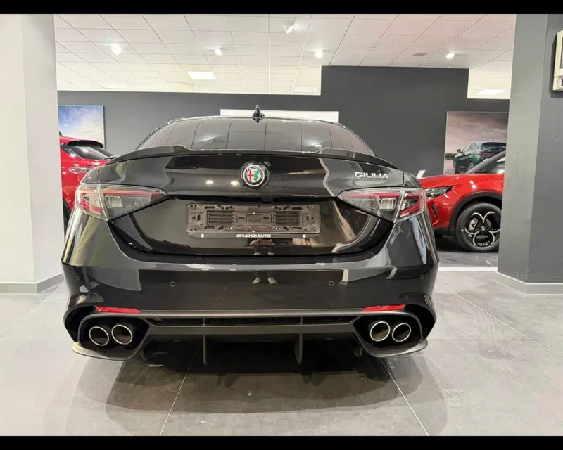 Alfa Romeo Giulia usata a Alessandria (6)