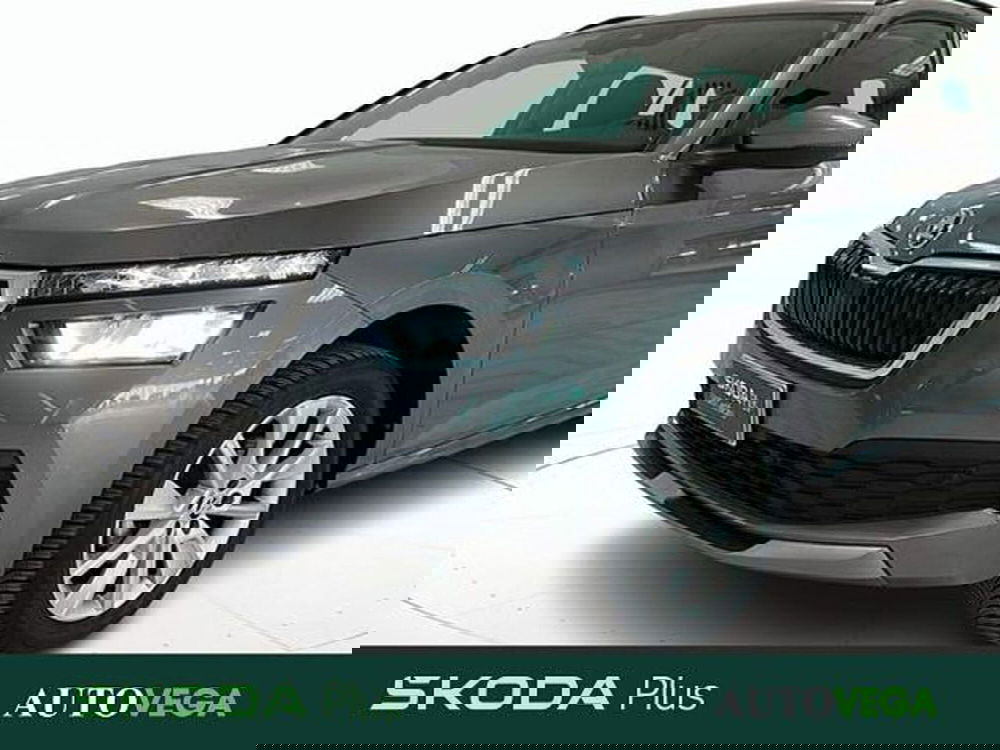 Skoda Kamiq usata a Vicenza (16)