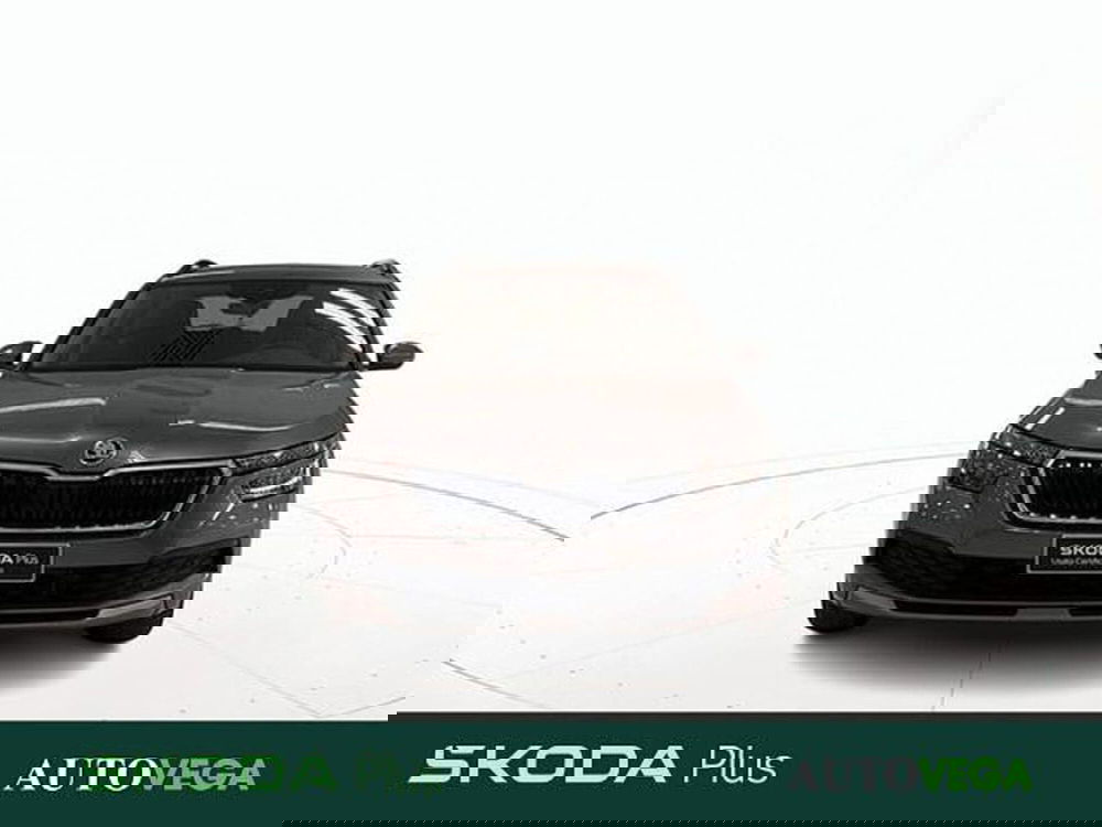 Skoda Kamiq usata a Vicenza (2)