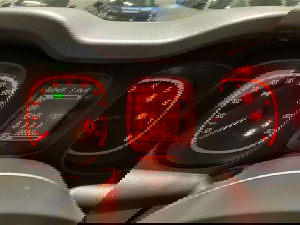 Fiat Panda Cross usata a Como (15)