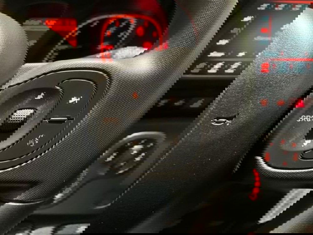 Fiat Panda Cross usata a Como (18)