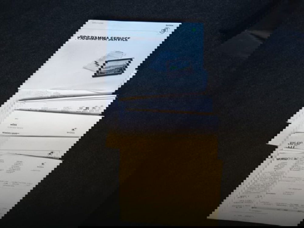 Skoda Yeti usata a Firenze (15)