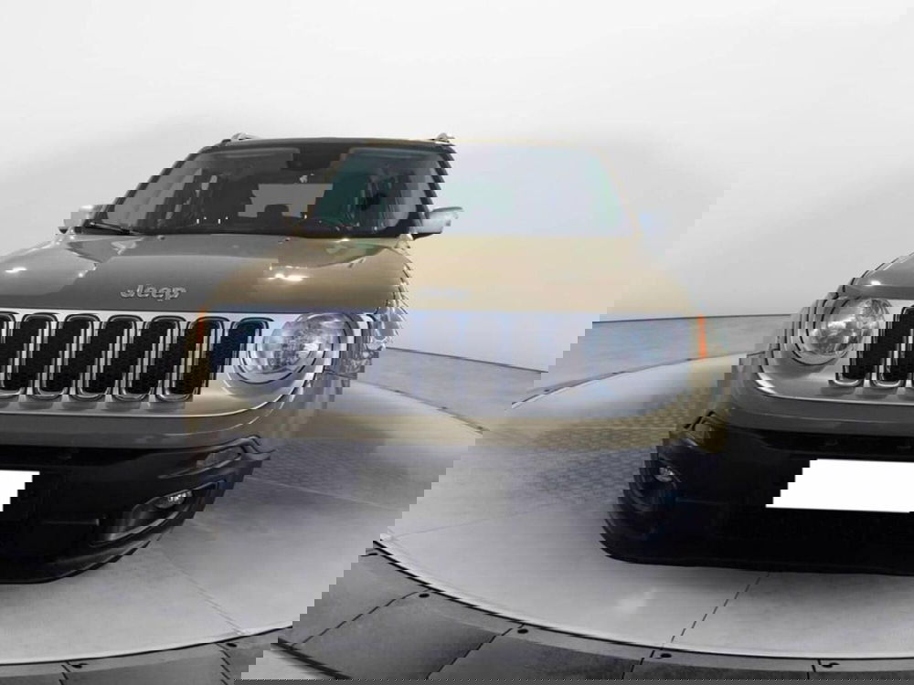 Jeep Renegade usata a Torino (2)