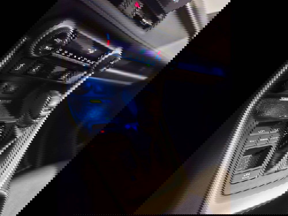 Toyota Rav4 usata a Torino (8)