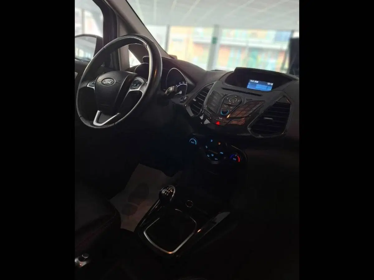 Ford EcoSport usata a Torino (11)