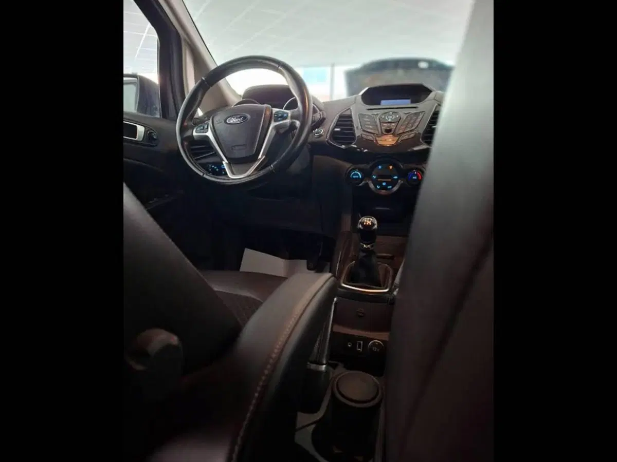 Ford EcoSport usata a Torino (12)
