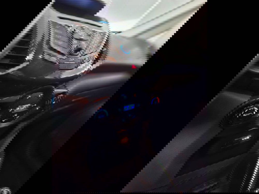 Ford EcoSport usata a Torino (8)