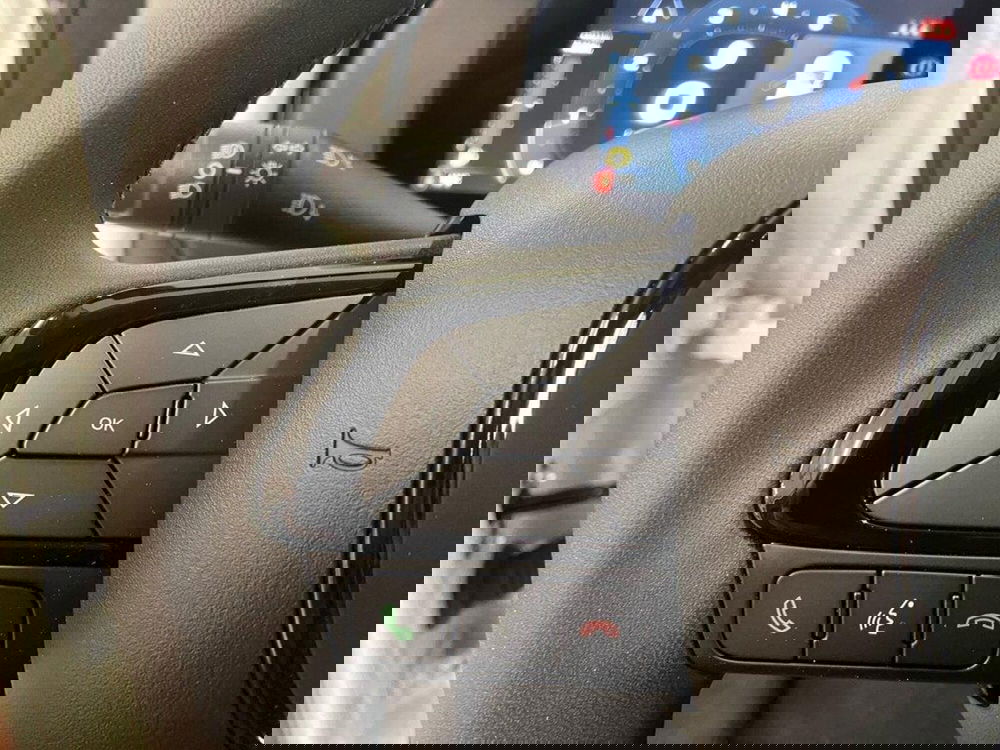 Fiat Pandina nuova a Torino (12)