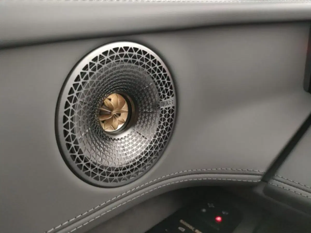 Lotus Eletre nuova a Modena (18)