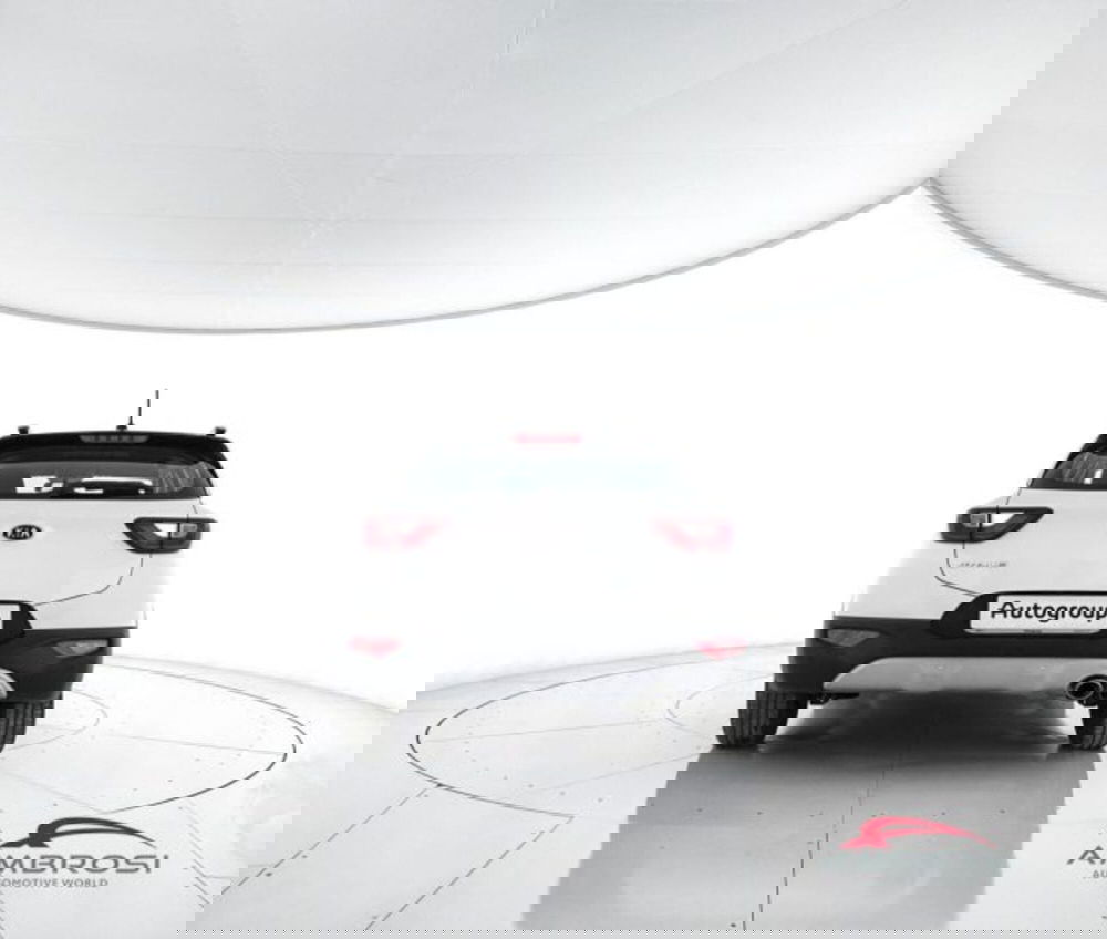 Kia Stonic usata a Perugia (6)