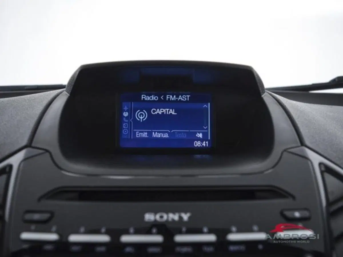 Ford EcoSport usata a Perugia (15)
