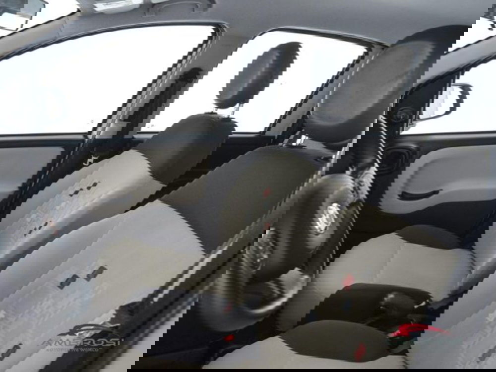 Fiat Panda usata a Perugia (9)