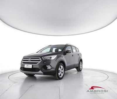 Ford Kuga 1.5 EcoBoost 120 CV S&amp;S 2WD Business del 2019 usata a Corciano