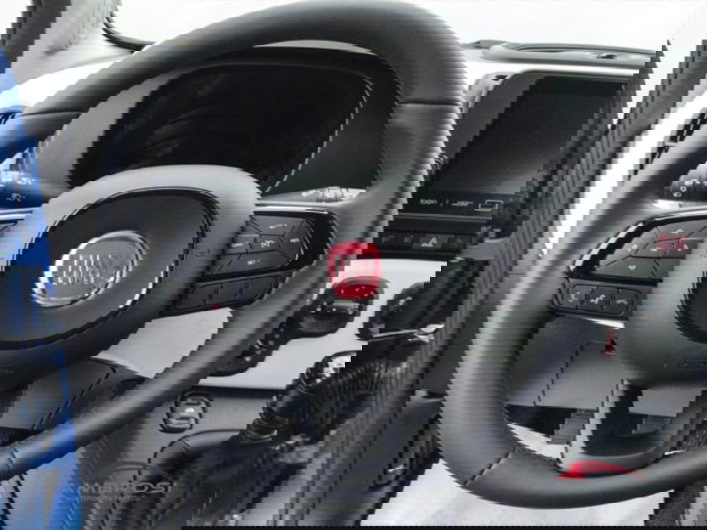 Fiat Panda Cross usata a Perugia (14)