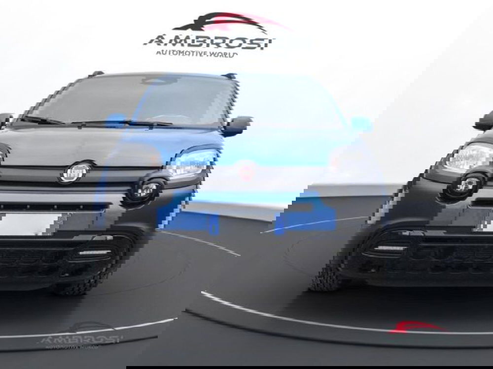 Fiat Panda Cross usata a Perugia (7)