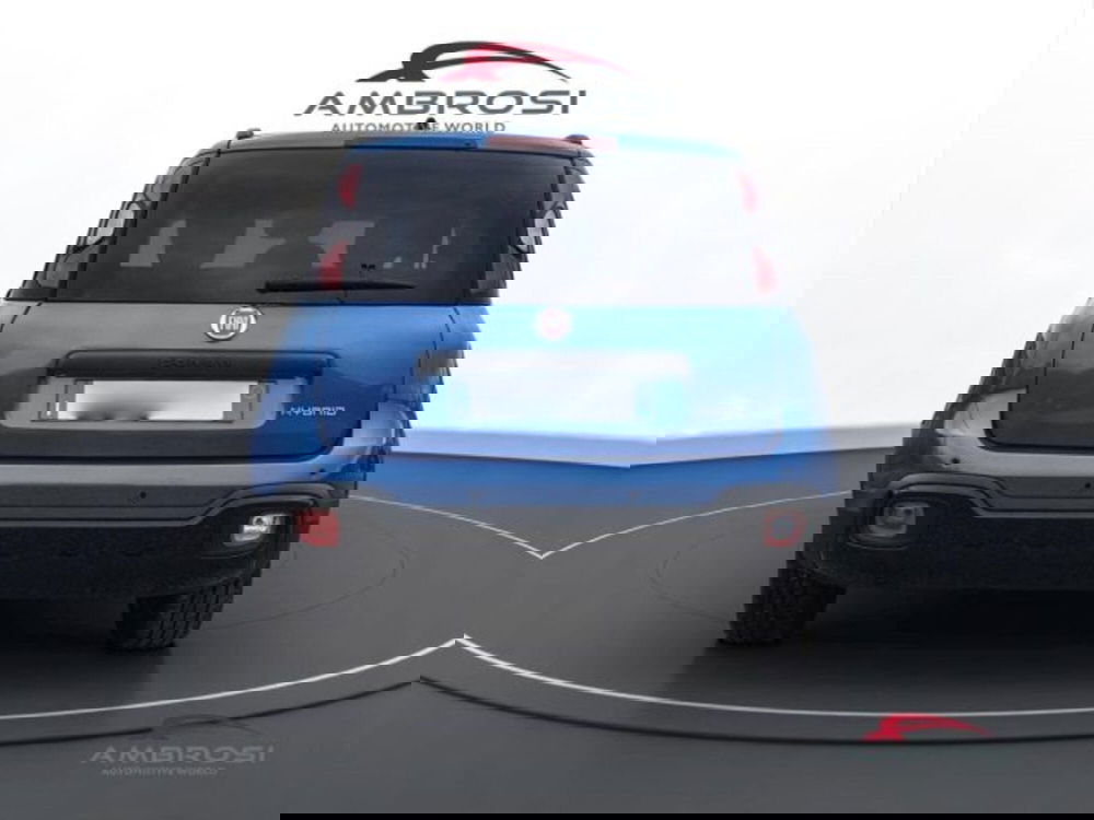 Fiat Panda Cross usata a Perugia (8)