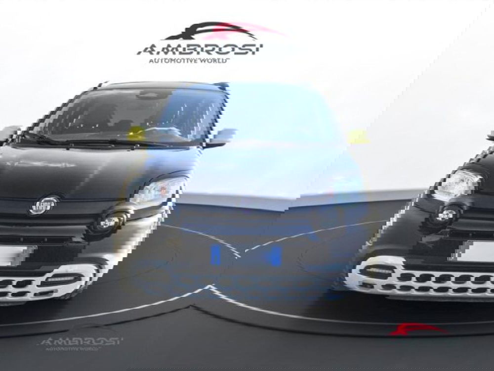 Fiat Panda Cross usata a Perugia (7)