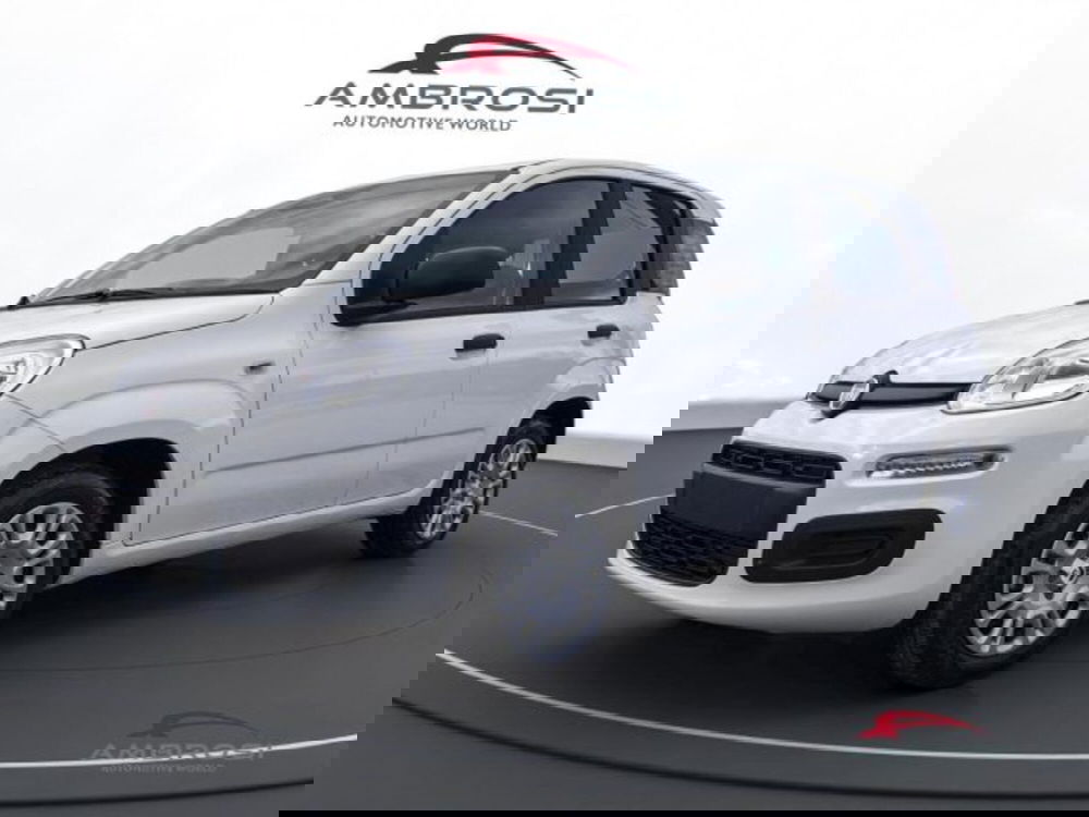 Fiat Panda nuova a Perugia