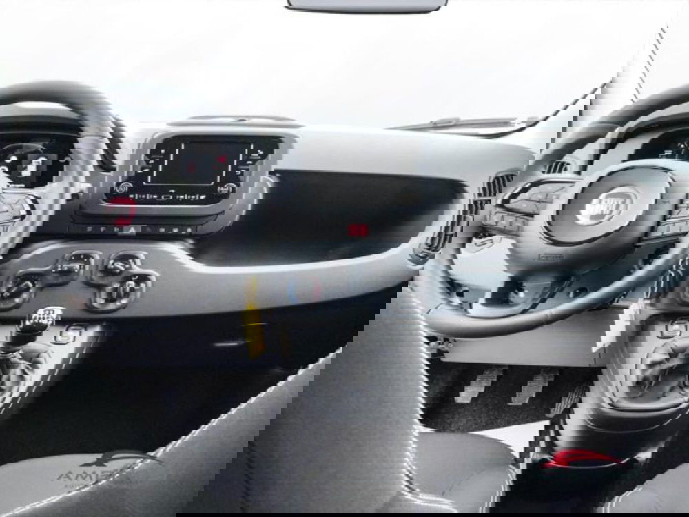 Fiat Panda nuova a Perugia (15)