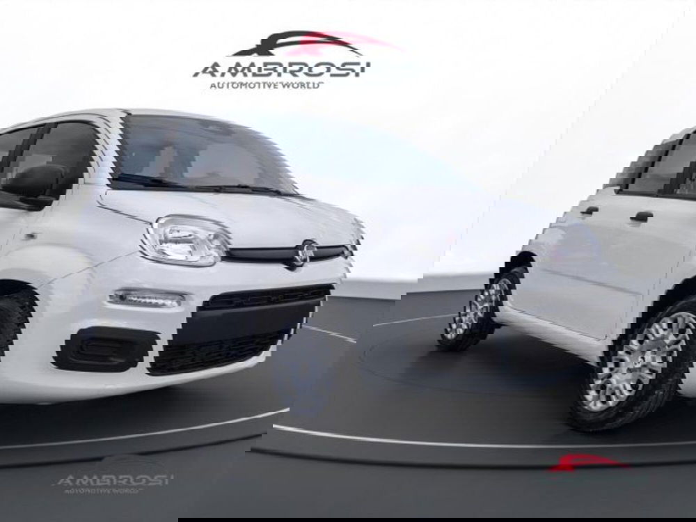 Fiat Panda nuova a Perugia (2)