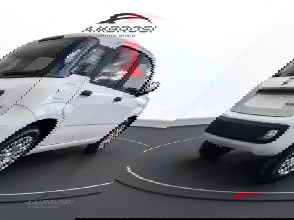 Fiat Panda nuova a Perugia (3)