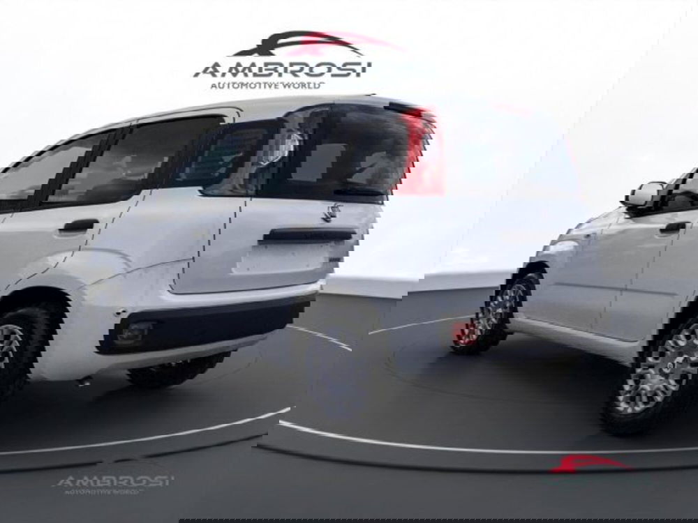 Fiat Panda nuova a Perugia (4)