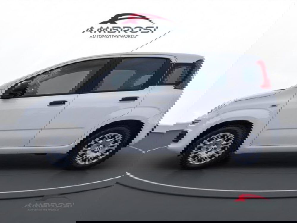 Fiat Panda nuova a Perugia (6)