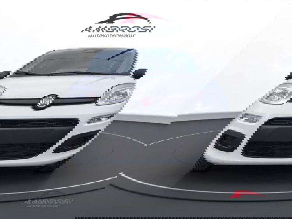 Fiat Panda nuova a Perugia (7)