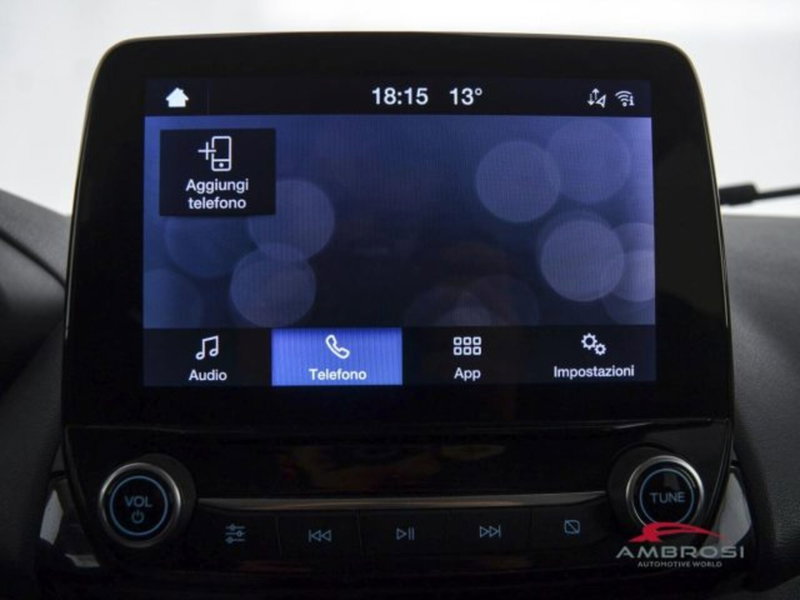 Ford EcoSport usata a Perugia (15)