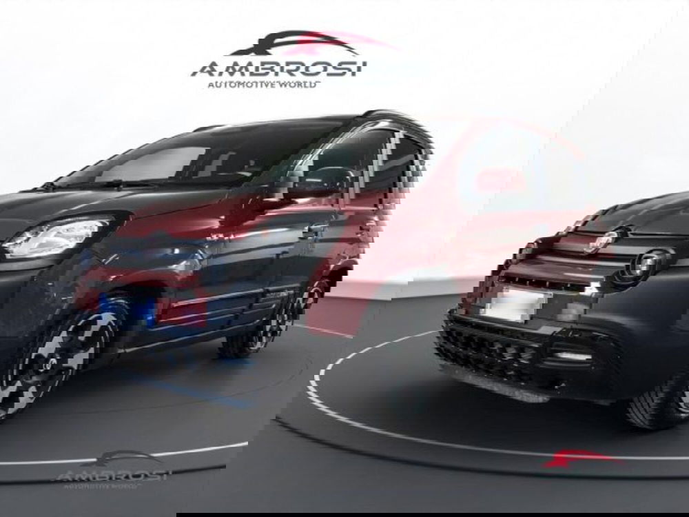 Fiat Panda Cross usata a Perugia