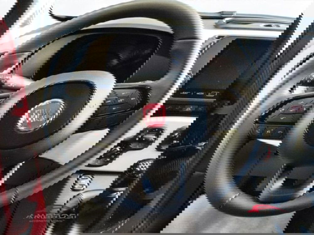 Fiat Panda Cross usata a Perugia (14)