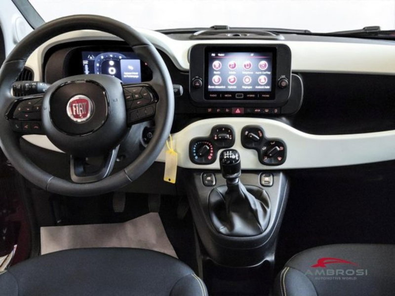 Fiat Panda Cross usata a Perugia (6)