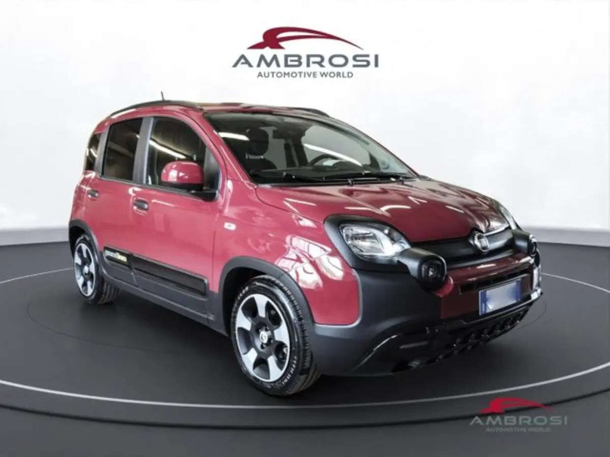 Fiat Panda Cross usata a Perugia