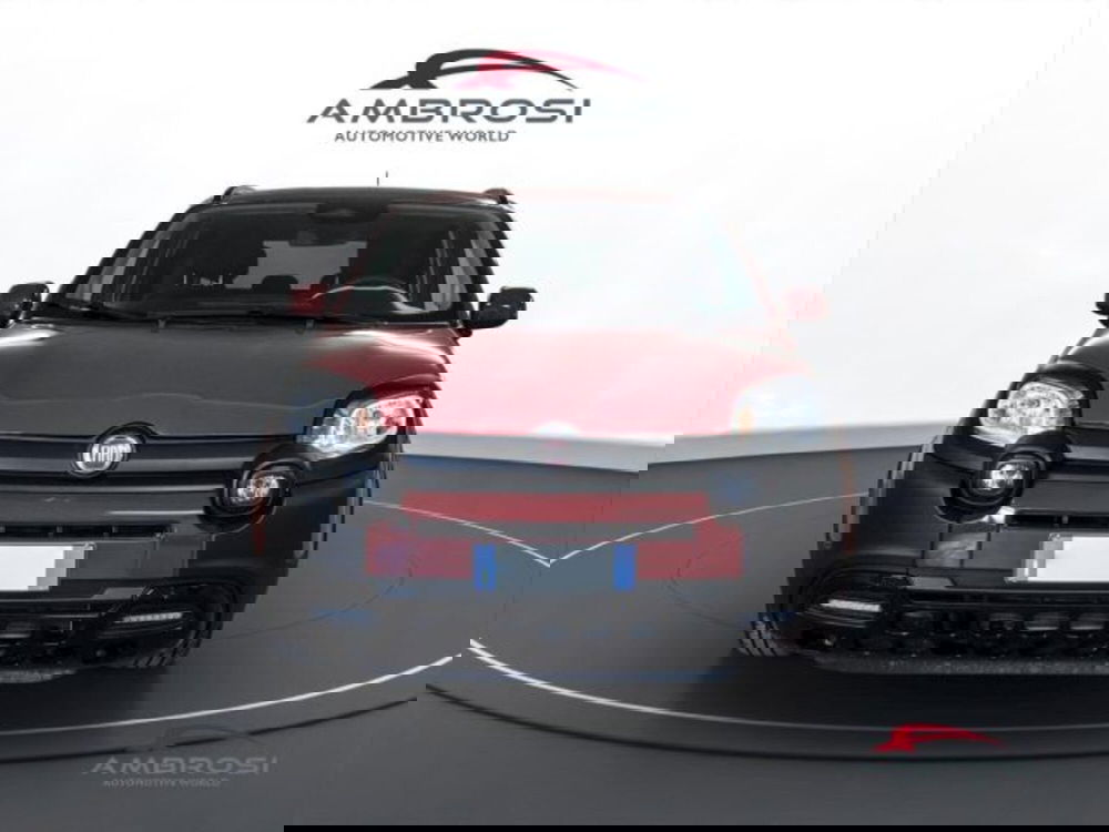 Fiat Panda Cross usata a Perugia (7)