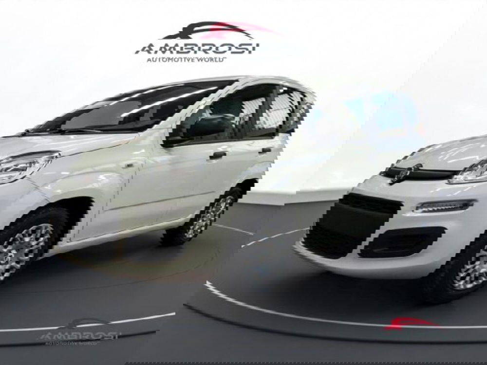 Fiat Panda nuova a Perugia