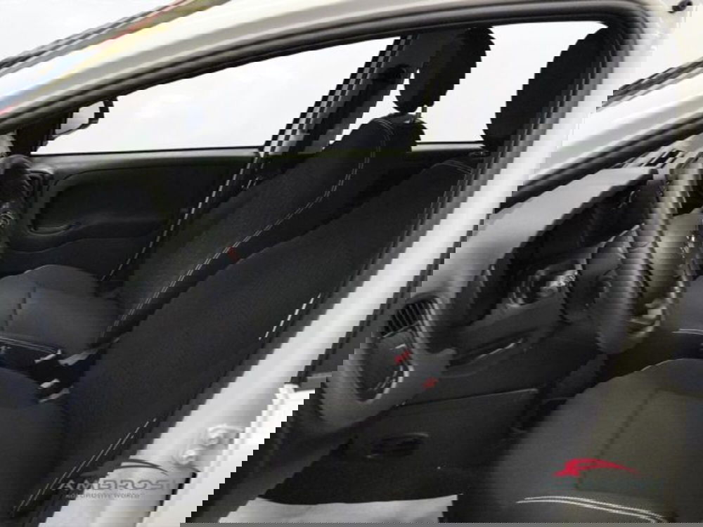 Fiat Panda nuova a Perugia (10)