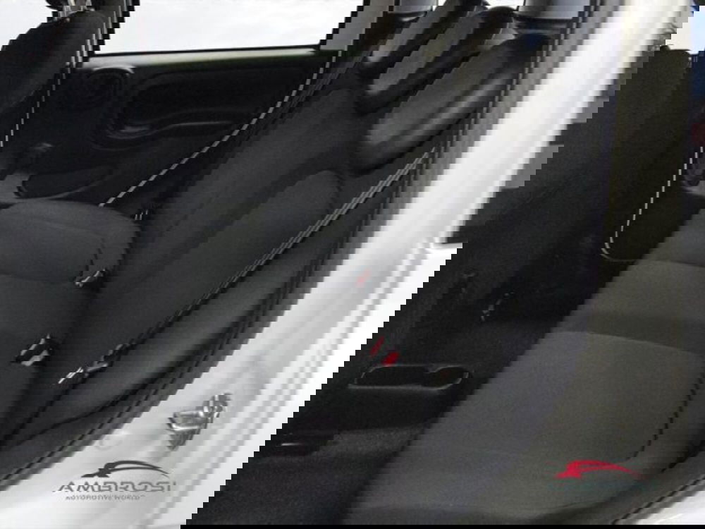 Fiat Panda nuova a Perugia (11)