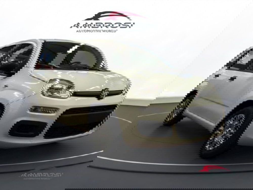 Fiat Panda nuova a Perugia (2)