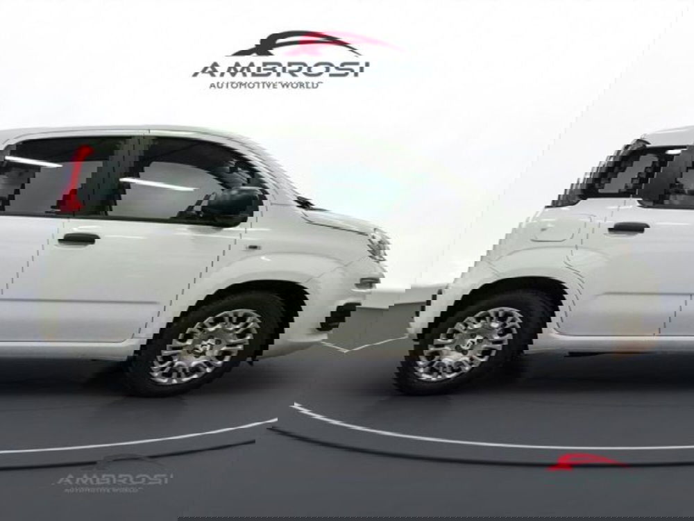 Fiat Panda nuova a Perugia (5)