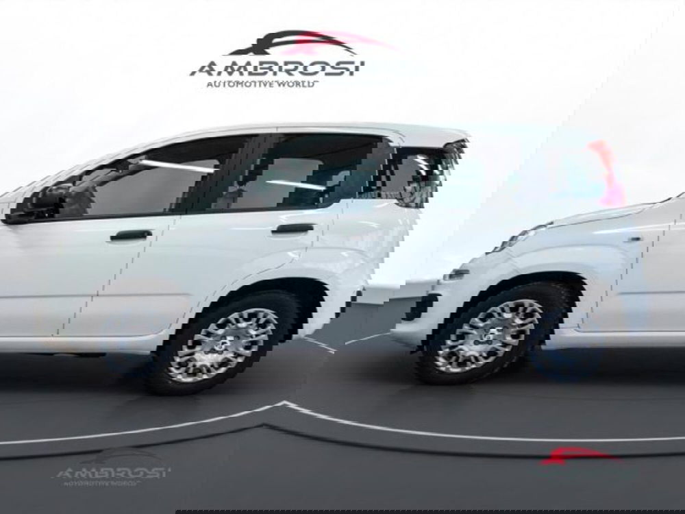 Fiat Panda nuova a Perugia (6)