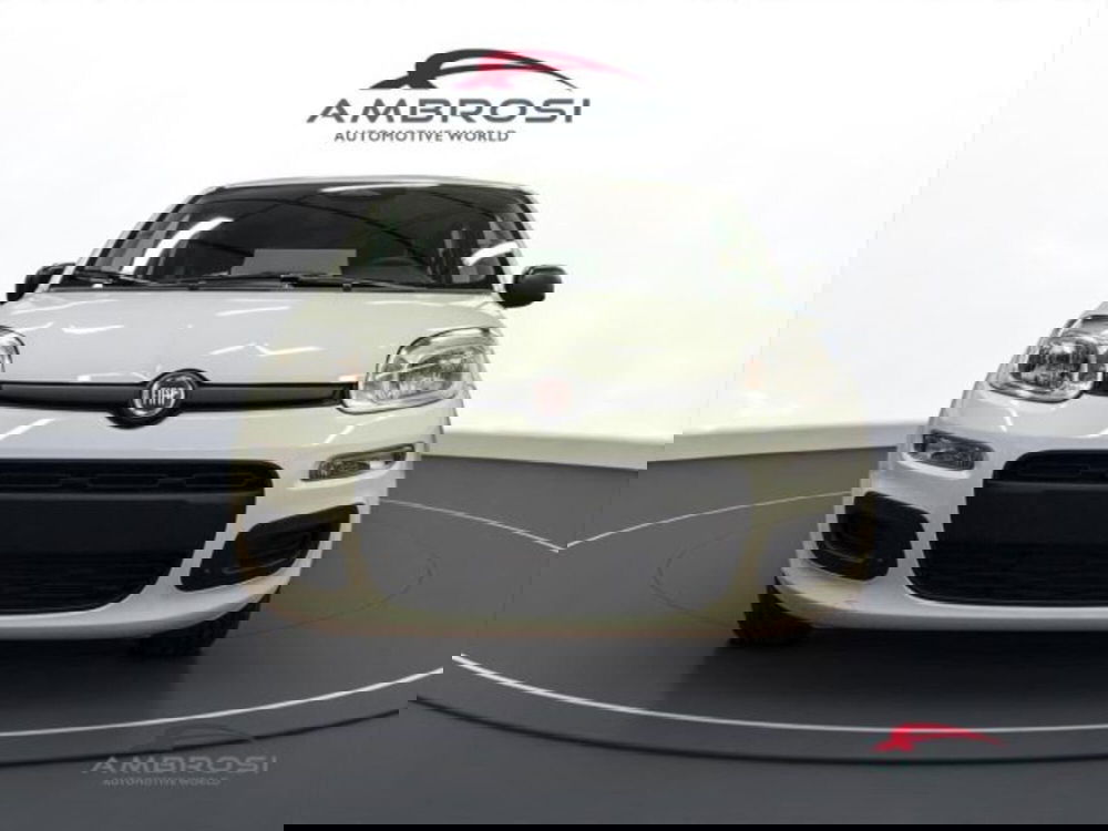 Fiat Panda nuova a Perugia (7)