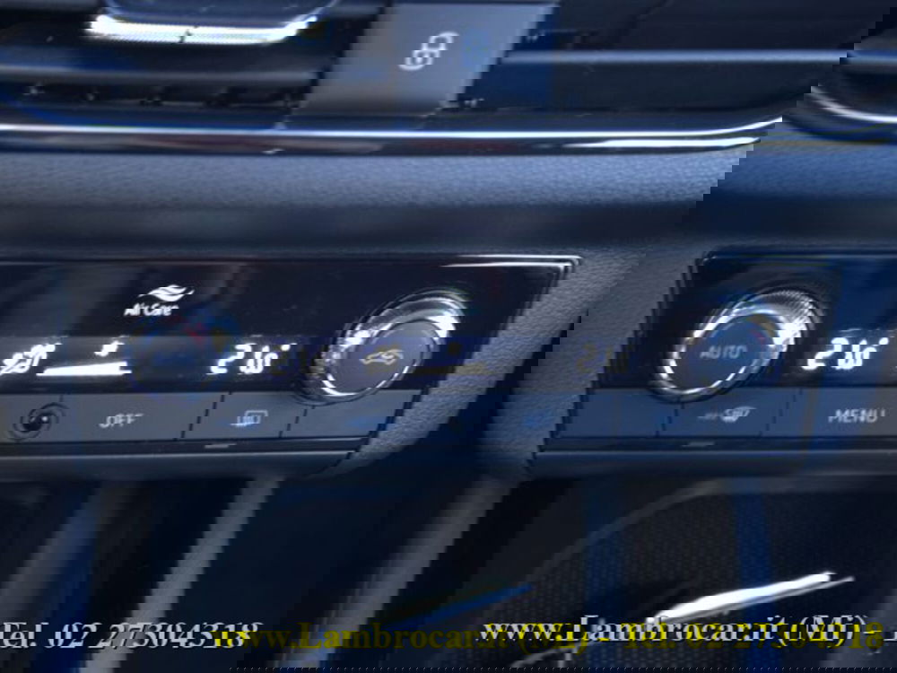 Skoda Kamiq usata a Milano (11)