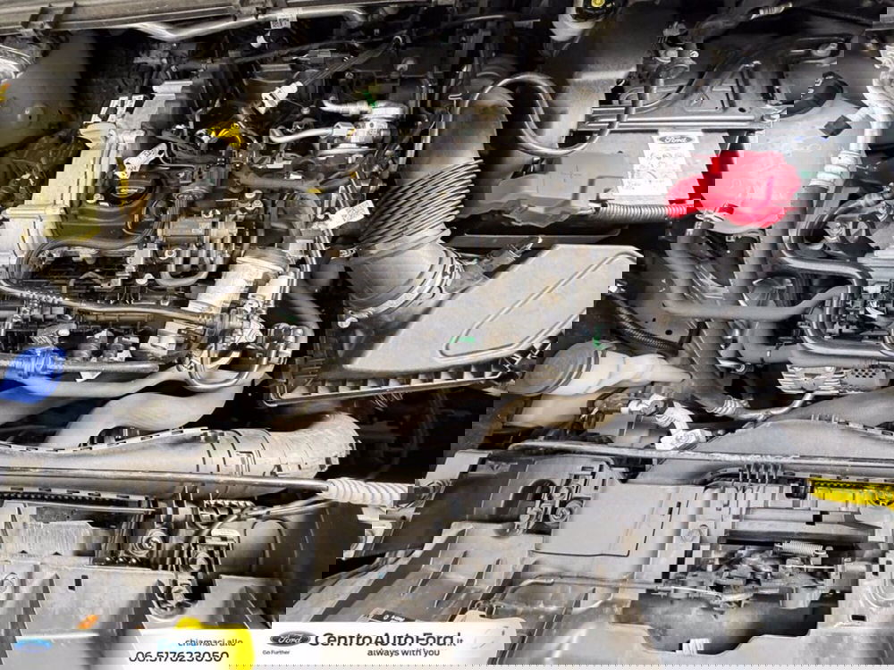 Ford Puma usata a Roma (12)