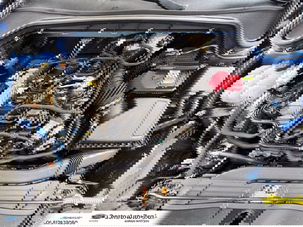 Ford Focus Station Wagon usata a Roma (12)