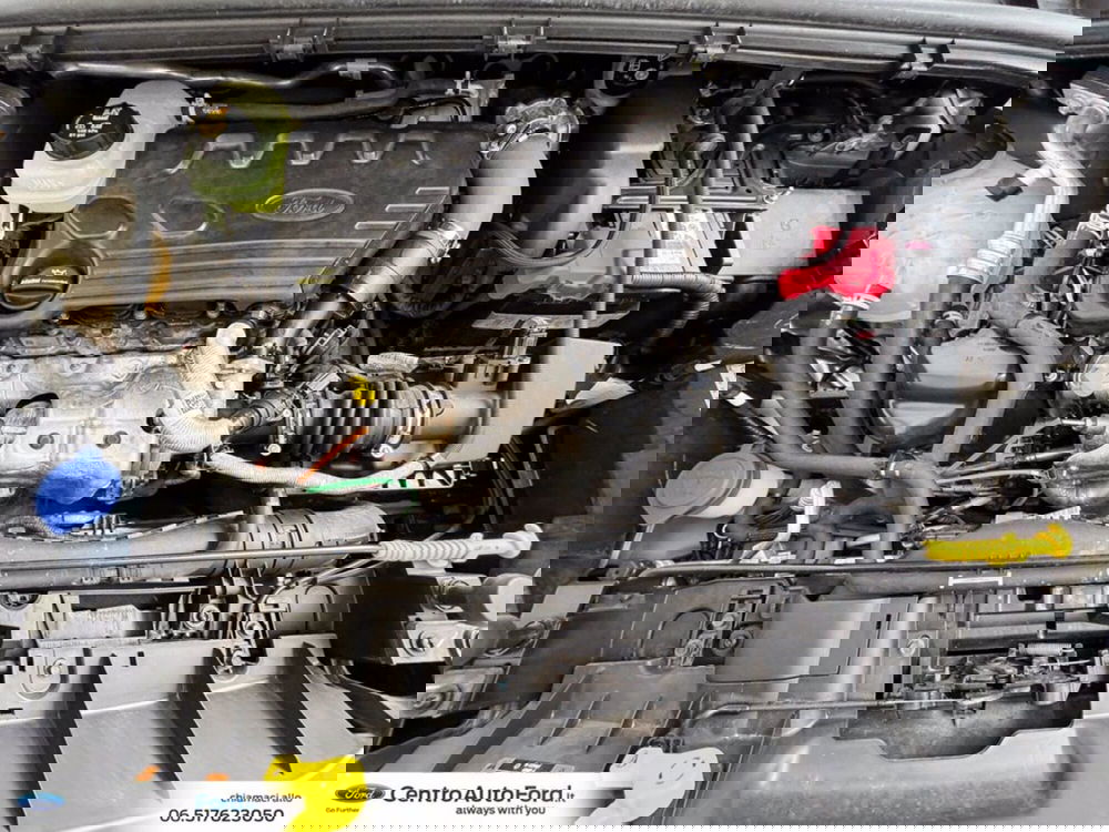 Ford Puma usata a Roma (13)