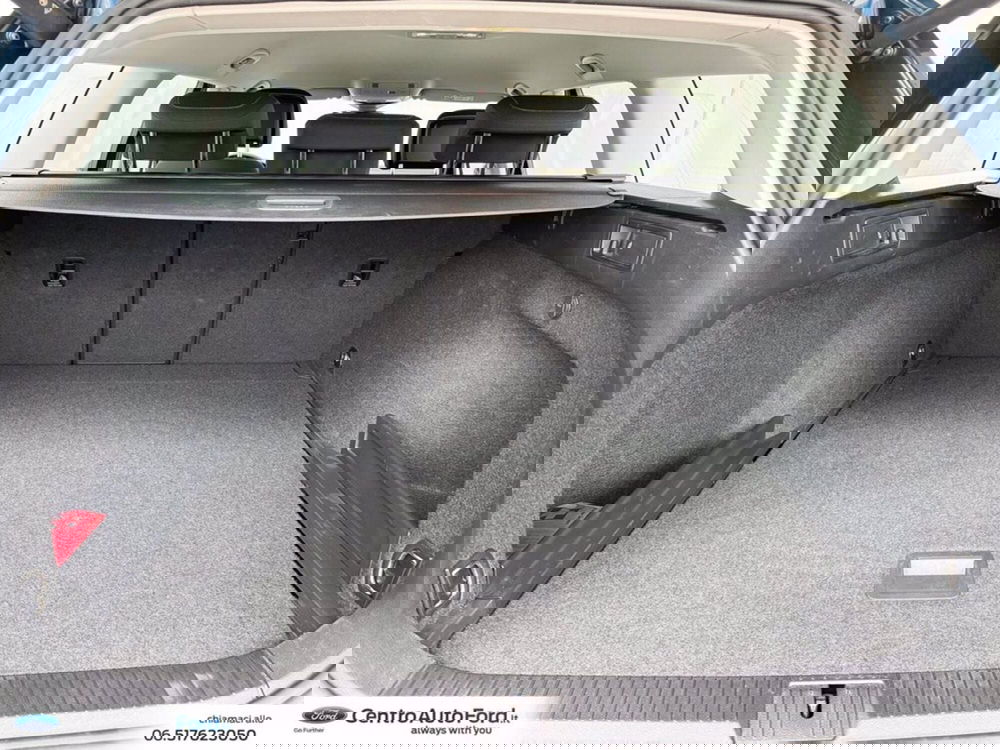 Volkswagen Passat Variant usata a Roma (11)