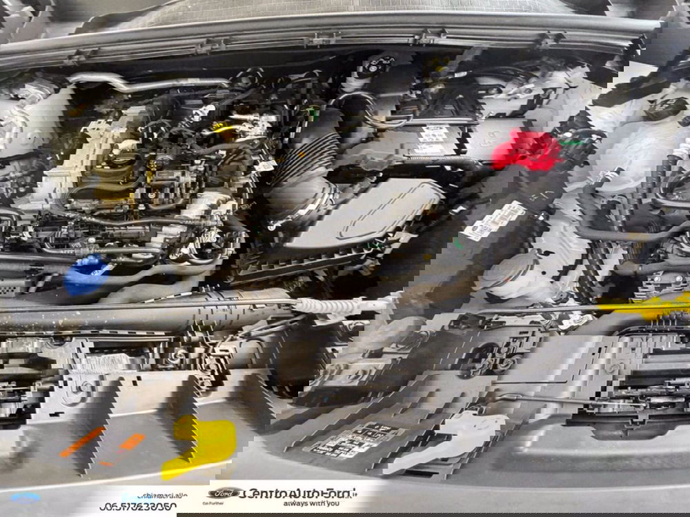 Ford Puma usata a Roma (12)