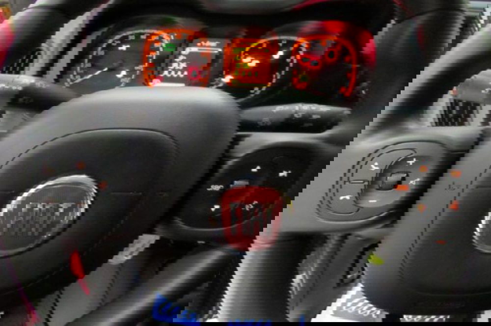 Fiat Panda Cross usata a Milano (11)